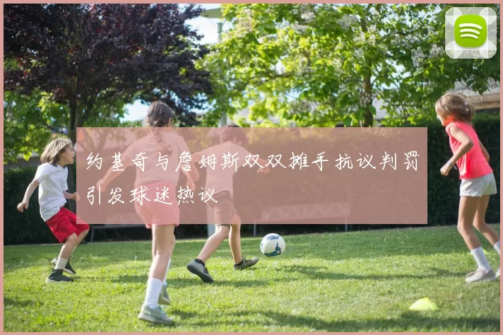 约基奇与詹姆斯双双摊手抗议判罚引发球迷热议